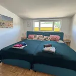 Appartamento Stadt & Penthouseapartment Millstaetter Card *