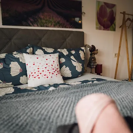 Apartment Stadt&see Penthouse Inkl Mic Card Spittal an der Drau