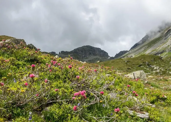 Apartament Stadt & Penthouseapartment Millstaetter Card *